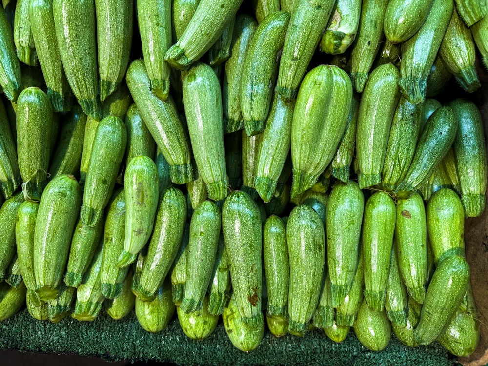 Cuketa